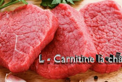 L-carnitine và những điều cần biết